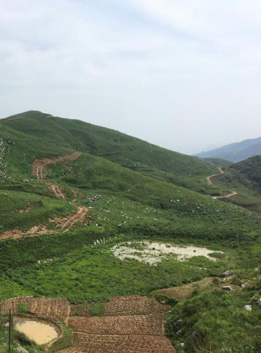 湖南省冷水江市锡矿山地区生态修复项目