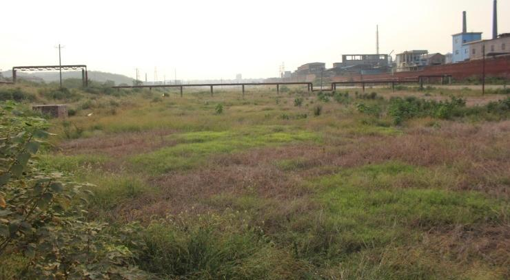 常宁市水松地区土壤治理及生态建设项目
