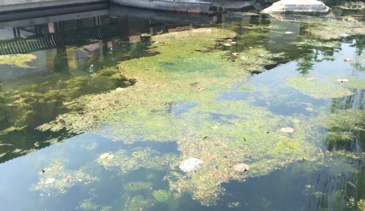 河北省保定市公园水生态之污水修复处理